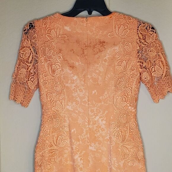 ANTONIO MELANI SAMSON BEAUTIFUL LACE DRESS - Picture 8 of 11
